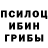 Галлюциногенные грибы Magic Shrooms Aram Ovanesov