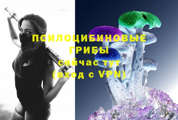 гидра Балахна