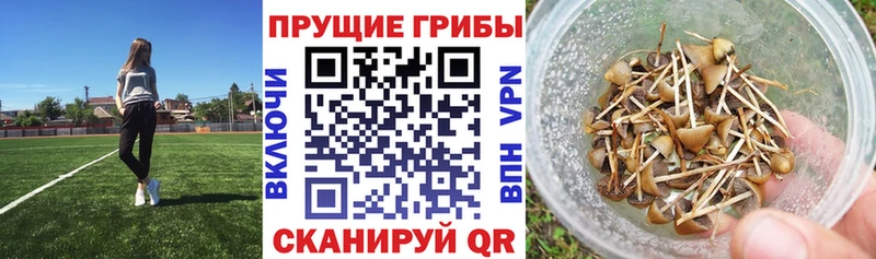 KRAKEN ссылка  Барабинск  Псилоцибиновые грибы мухоморы  купить наркотик 